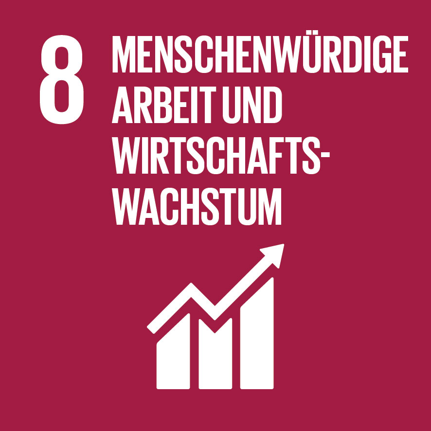 08 Menschenwürdige Arbeit und Wirtschaftswachstum - SDG Ziele der nachhaltigen Entwicklung
