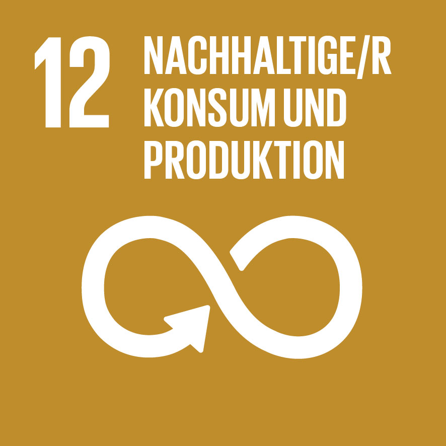 12 Nachhaltige/r Konsum und Produktion - SDG Ziele der nachhaltigen Entwicklung
