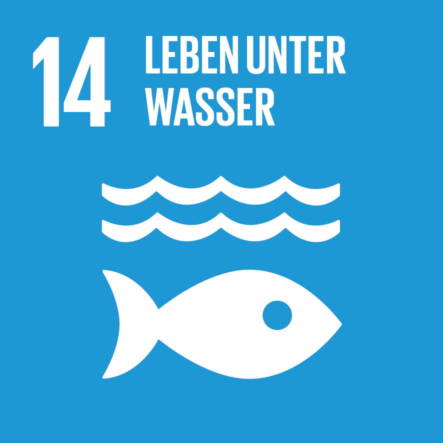 14 Leben unter Wasser - SDG Ziele der nachhaltigen Entwicklung