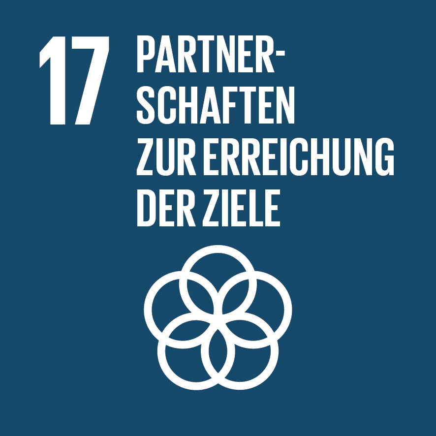 17 Partnerschaften zur Errechung der Ziele - SDG Ziele der nachhaltigen Entwicklung